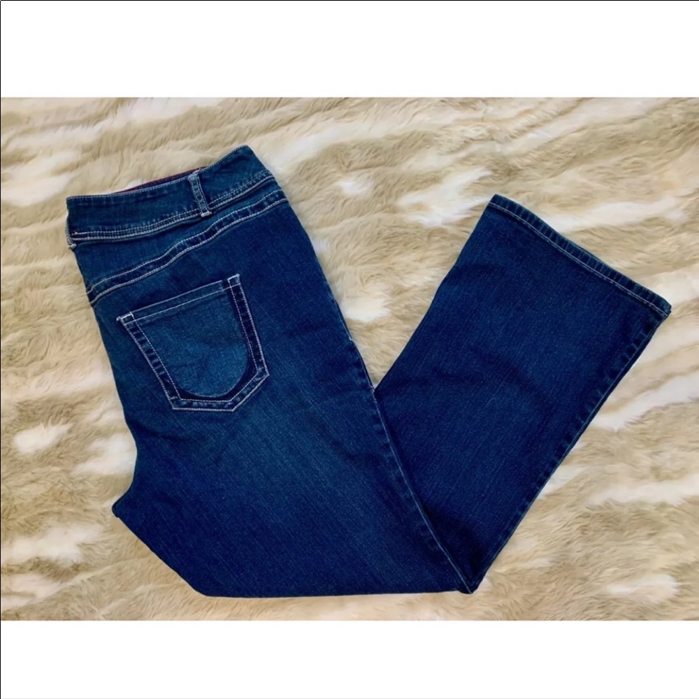 LANE BRYANT Jeggings Dark Wash Stretch Jeans